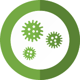 Mold Detection and Removal Pros