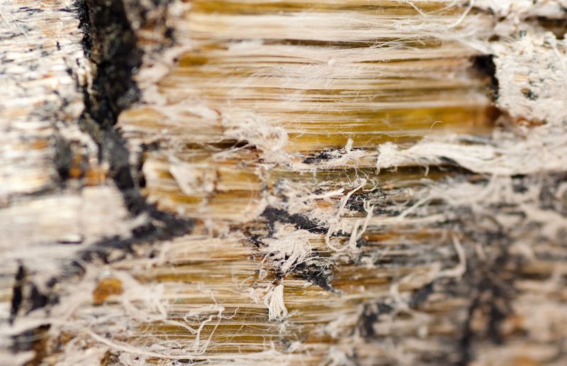 Asbestos Mitigation in Old Bridge, NJ