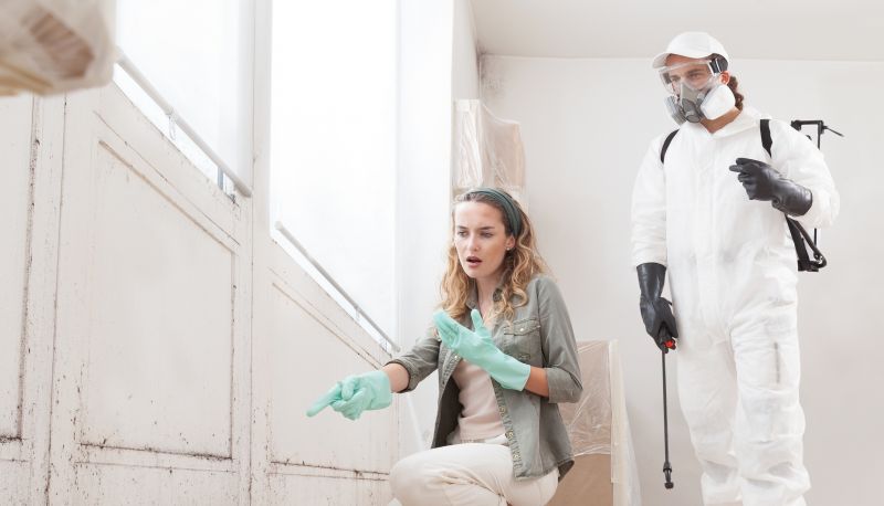 Attic Mold Remediation in Boca Raton, FL