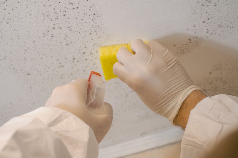 Crawlspace Mold Remediation in Broward County, FL