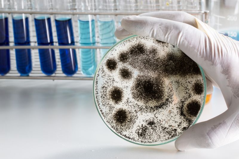 ERMI Testing in Palm Beach County, FL