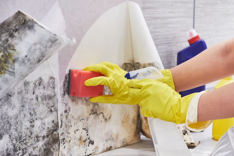 Mold Cleanup Service in Broward County, FL
