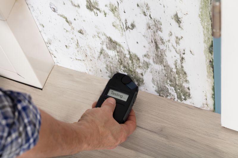 Mold Detection in Delray Beach, FL