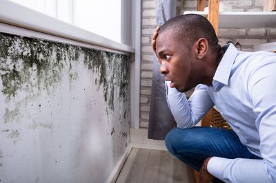 Mold Detection in Frisco, TX