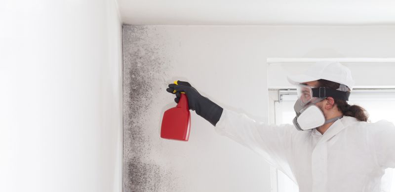Mold Mitigation Service in Broward County, FL