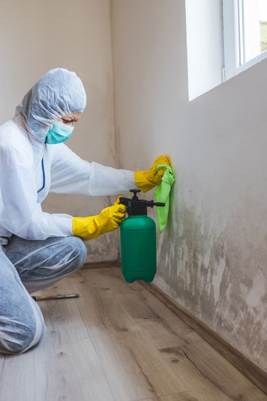 Mold Detection And Removal