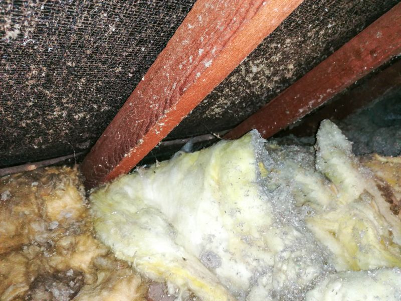 Asbestos Abatement in Sussex County, NJ