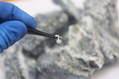 Asbestos Assessment in Sussex County, NJ