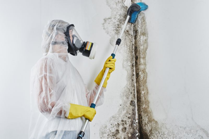 Attic Mold Remediation in Boca Raton, FL