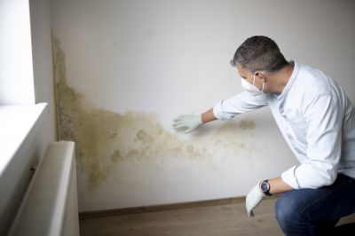 Attic Mold Remediation in West Palm Beach, FL