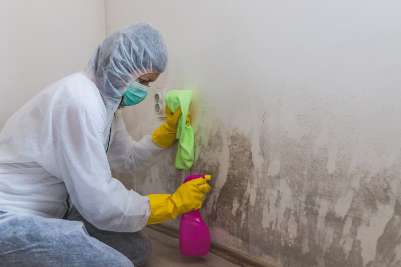 Attic Mold Removal in Essex County, NJ
