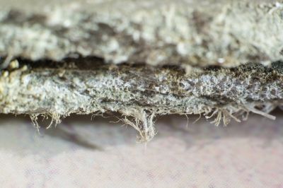Basement Asbestos Removal in Essex County, NJ