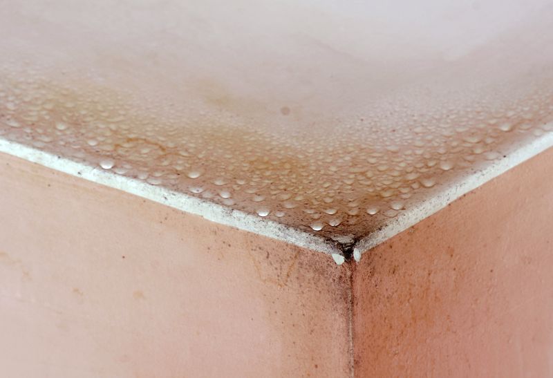 Basement Mold Removal in Dallas, TX