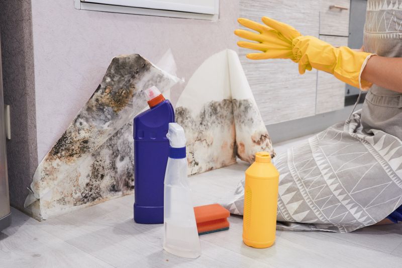 Black Mold Remediation in Broward County, FL