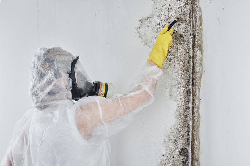 Black Mold Removal in Essex County, NJ