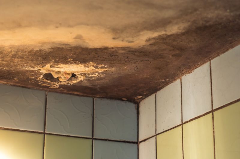 Ceiling Mold Removal in Boca Raton, FL