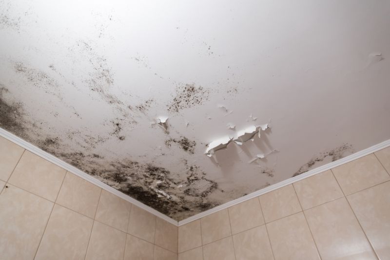 Ceiling Mold Removal in Essex County, NJ