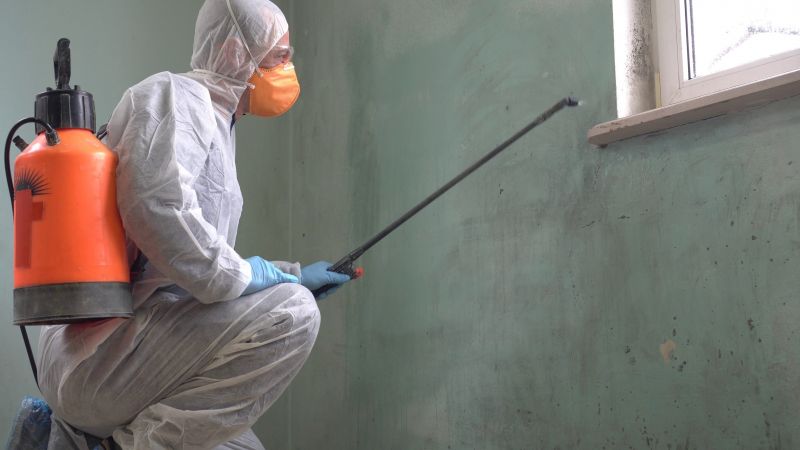 Mold Detection And Removal