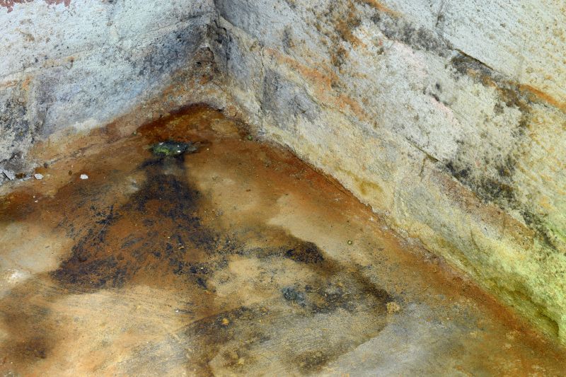 Crawl Space Mold Removal in Boca Raton, FL