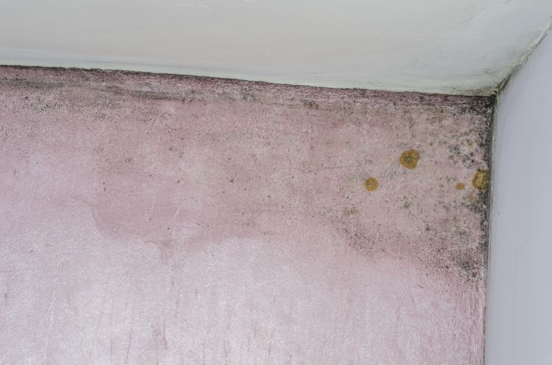 Ermi Testing in Denton, TX