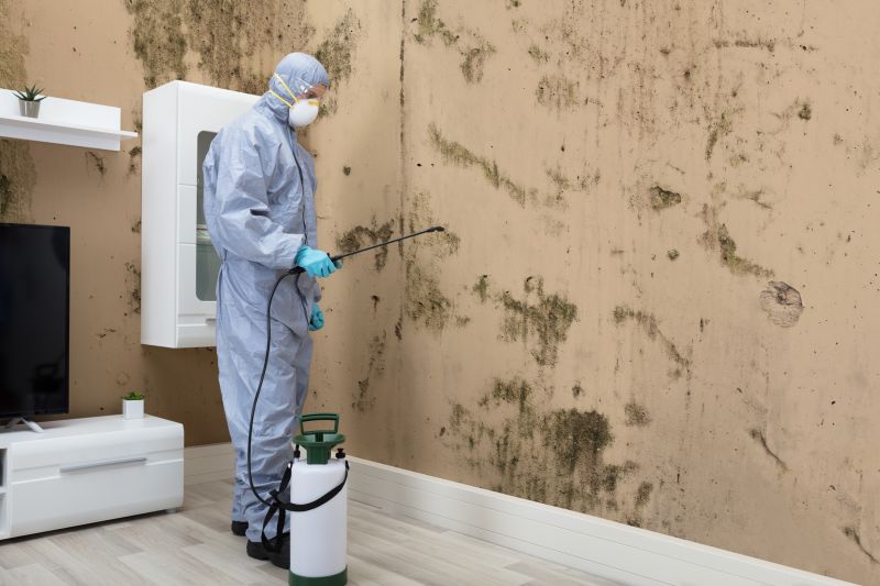 Mold Detection And Removal detail