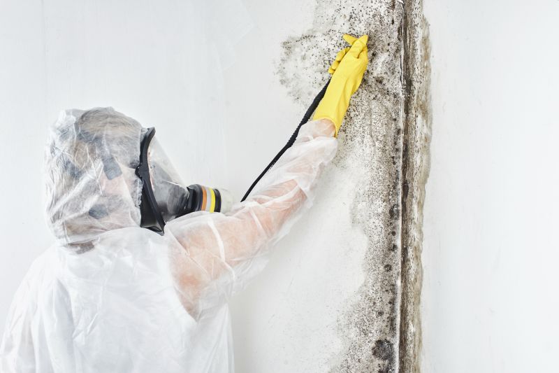 Mold Abatement in Pompano Beach, FL