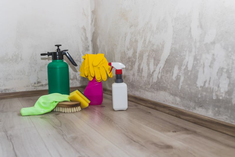 Mold Abatement Service