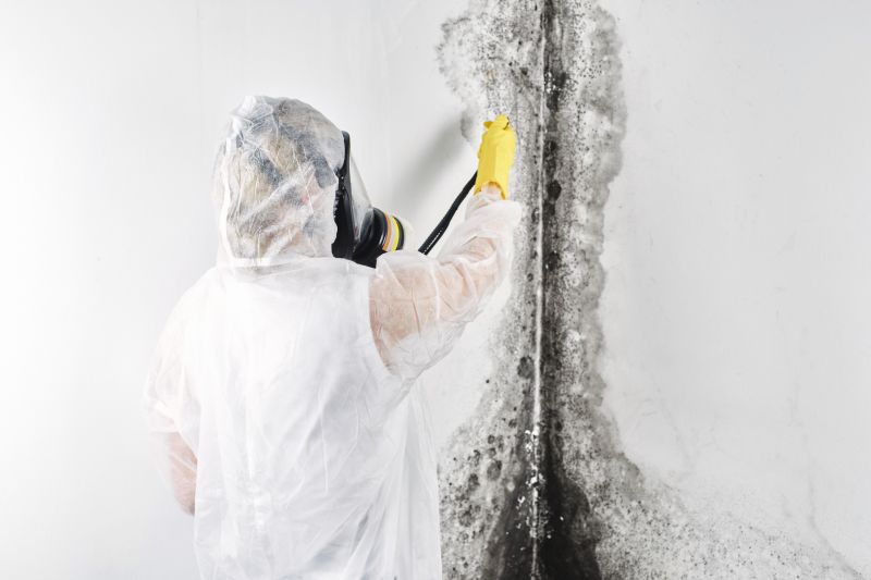 Mold Abatement Service in Dallas, TX