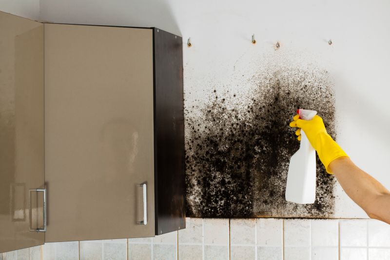 Mold Cleanup Service in Jupiter, FL