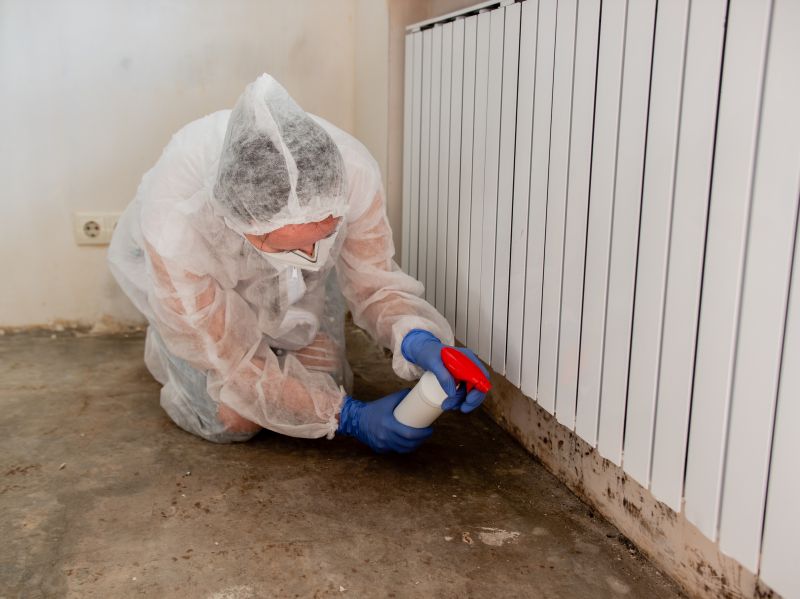 Mold Detection And Removal