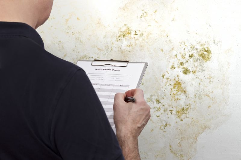 Mold Detection And Removal