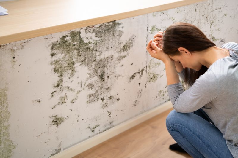 Mold Detection in Arlington, TX