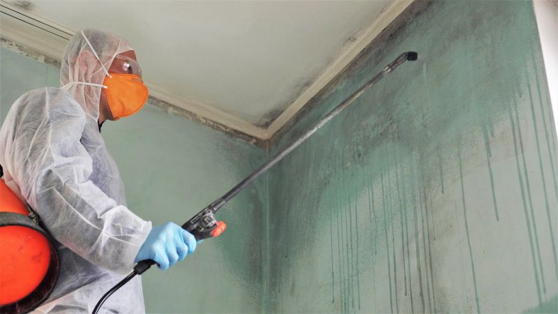 Mold Mitigation Service in Bergen County, NJ