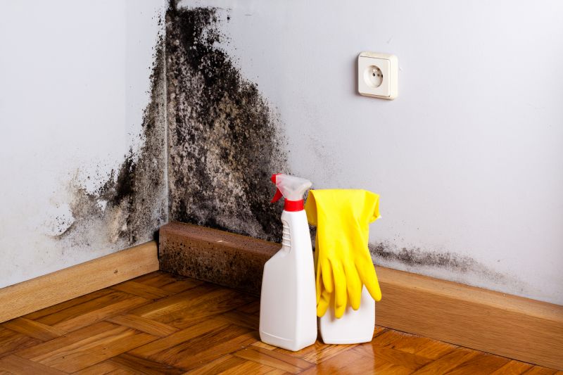 Mold Mitigation Service in Fort Lauderdale, FL