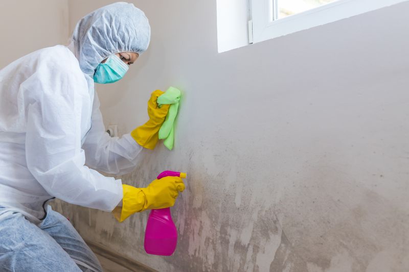 Mold Remediation Service in Jupiter, FL