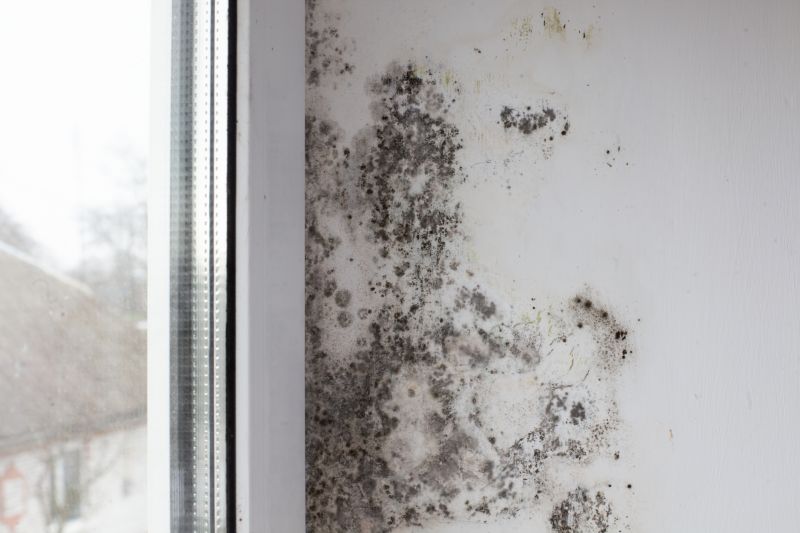 Mold Removal in Frisco, TX