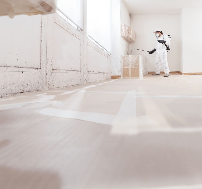 Mold Removal in Dallas, TX