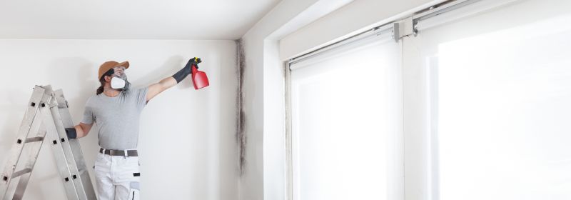 Mold Restoration in Frisco, TX