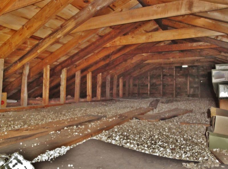 Vermiculite Removal Service in Essex County, NJ