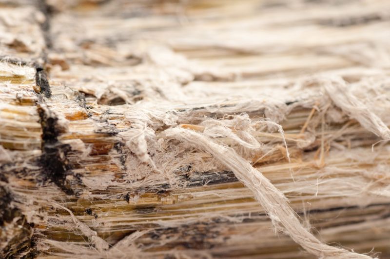 Vermiculite Removal Service in Bergen County, NJ