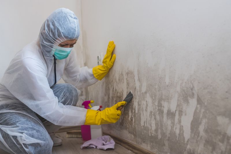 White Mold Mitigation in Boca Raton, FL